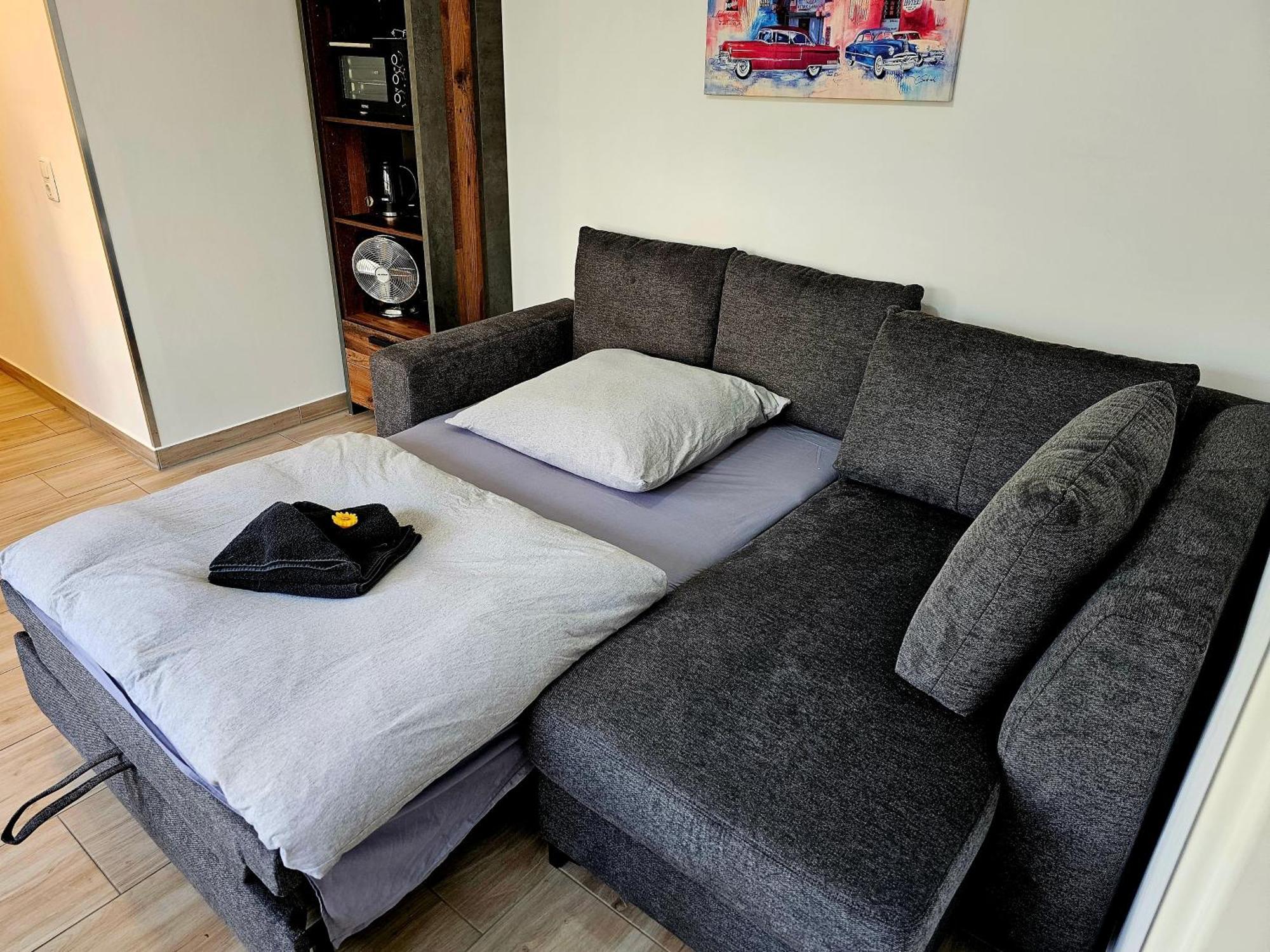 Spatzennest Dresde Chambre photo